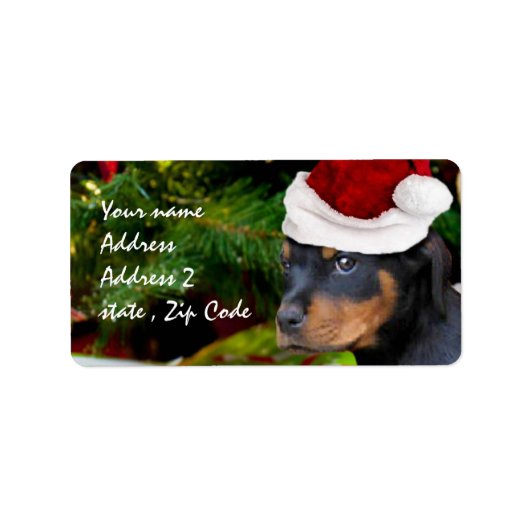 Christmas Rottweiler Adressaufkleber (Vorne)