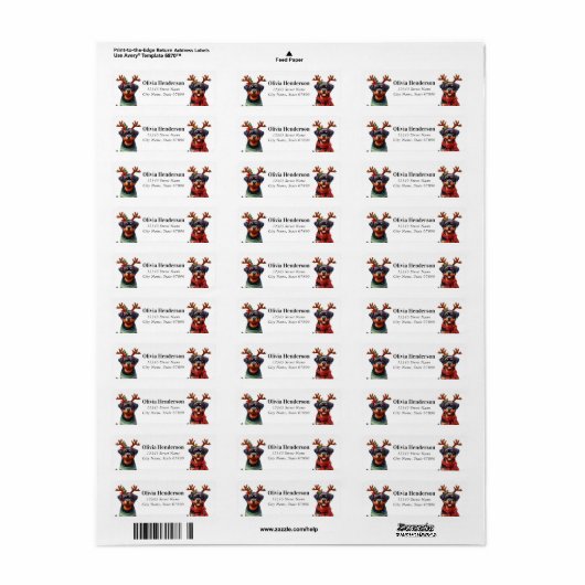 Christmas Rottweiler Rücksendeadressen-Aufkleber (Vorne)