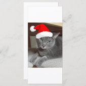 Christmas Russian Blue Gray Cat (Vorne/Hinten)