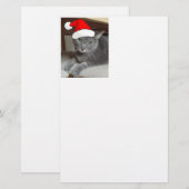 Christmas Russian Blue Gray Cat Briefpapier (Vorne/Hinten)