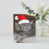 Christmas Russian Blue Gray Cat Feiertagskarte (Stehend Vorderseite)