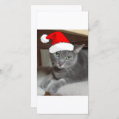 Christmas Russian Blue Gray Cat Feiertagskarte (Vorne/Hinten)