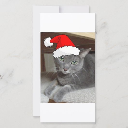 Christmas Russian Blue Gray Cat Feiertagskarte (Vorderseite)