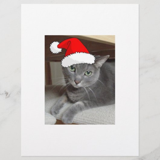 Christmas Russian Blue Gray Cat Flyer (Vorne)