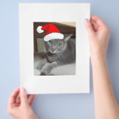 Christmas Russian Blue Gray Cat Flyer (Hand)