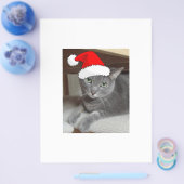 Christmas Russian Blue Gray Cat Flyer (Einzeln)