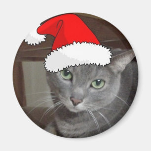 Christmas Russian Blue Gray Cat Magnet