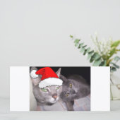 Christmas Russian Blue Gray Cats (Stehend Vorderseite)