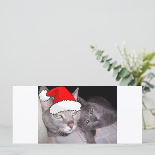 Christmas Russian Blue Gray Cats (Stehend Vorderseite)