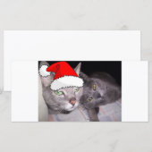 Christmas Russian Blue Gray Cats (Vorne/Hinten)