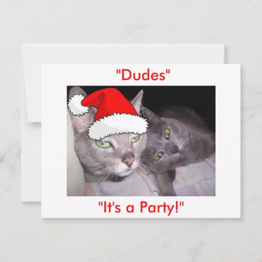 Christmas Russian Blue Gray Cats Feiertagskarte (Vorderseite)