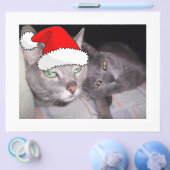 Christmas Russian Blue Gray Cats Flyer (Einzeln)