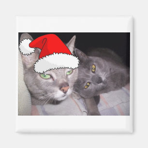 Christmas Russian Blue Gray Cats Magnet