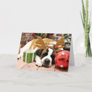 Christmas - Saint Bernard - Blue Feiertagskarte
