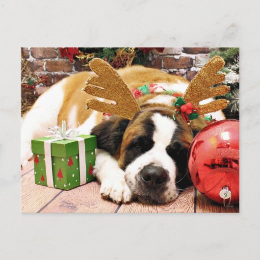 Christmas - Saint Bernard - Blue Feiertagspostkarte (Vorderseite)