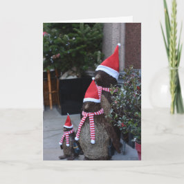 Christmas Santa Penguins Pavilion Road London UK Karte