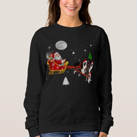 Christmas Santa Riding Border Collie Santa Hat Xma Sweatshirt (Vorderseite)