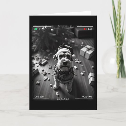 Christmas Schnauzer Caught On Camera  Karte (Vorderseite)