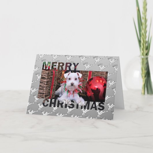 Christmas - Schnauzer - Emma Feiertagskarte (Vorderseite)
