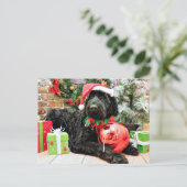 Christmas - Schnoodle - Zeus Feiertagspostkarte (Stehend Vorderseite)