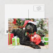 Christmas - Schnoodle - Zeus Feiertagspostkarte (Vorne/Hinten)