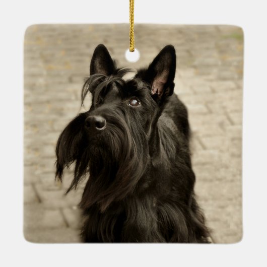 Christmas Scottie Dog Foto Buffalo Kariert Green Keramikornament (Rückseite)