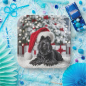 Christmas Scottish Terrier On a White Rug Pappteller (Party)