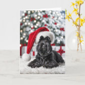 Christmas Scottish Terrier On Fur Karte (Gelbe Blume)