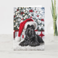 Christmas Scottish Terrier On Fur