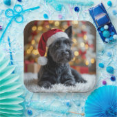 Christmas Scottish Terrier On Fur Pappteller (Party)