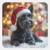 Christmas Scottish Terrier On Fur Quadratischer Aufkleber (Vorderseite)