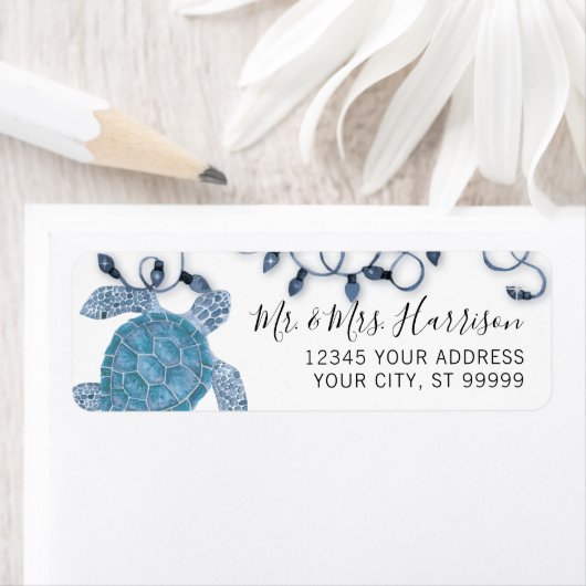 Christmas Sea Turtle Beach Blue Lights Script (Insitu)