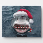 Christmas Shark Fotoplatte (Vorderseite)