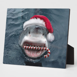 Christmas Shark Fotoplatte