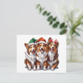 Christmas Shetland Sheepdogs Postkarte (Stehend Vorderseite)