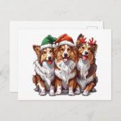 Christmas Shetland Sheepdogs Postkarte (Vorne/Hinten)