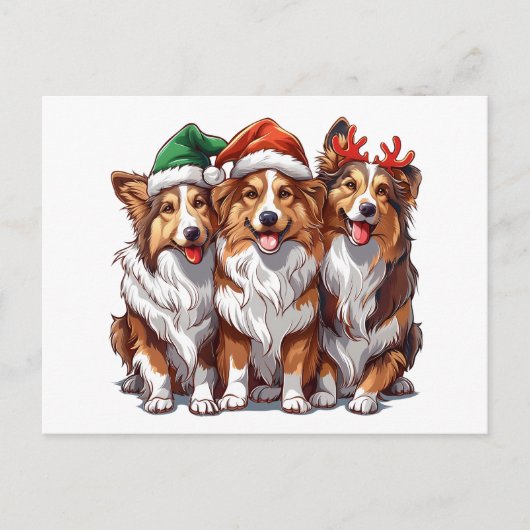 Christmas Shetland Sheepdogs Postkarte (Vorderseite)