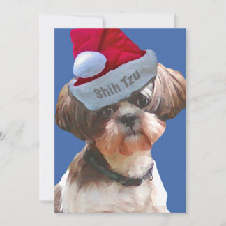 Christmas Shih Tzu 10 pk Cards Feiertagskarte
