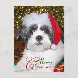 Christmas Shih Tzu Dog Feiertagspostkarte