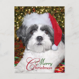 Christmas Shih Tzu Dog Feiertagspostkarte