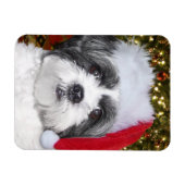 Christmas Shih Tzu Dog Magnet (Horizontal)