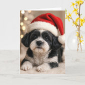 Christmas Shih Tzu Dog With Santa Hat Karte (Gelbe Blume)