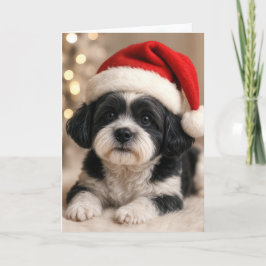 Christmas Shih Tzu Dog With Santa Hat Karte