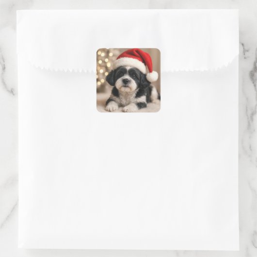 Christmas Shih Tzu Dog With Santa Hat Quadratischer Aufkleber (Tasche)