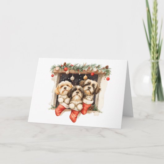 Christmas Shih Tzu Dogs Feiertagskarte (Vorderseite)
