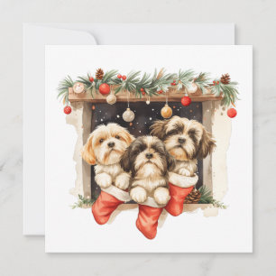 Christmas Shih Tzu Dogs Feiertagskarte