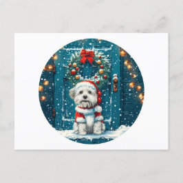 Christmas Shih Tzu Dogs Feiertagspostkarte