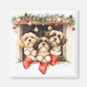 Christmas Shih Tzu Dogs Magnet