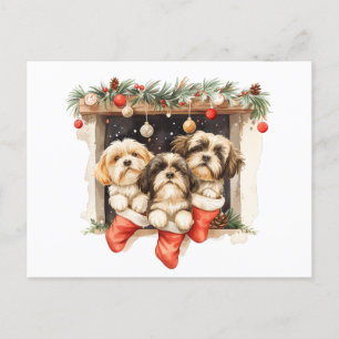 Christmas Shih Tzu Dogs Postkarte