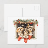 Christmas Shih Tzu Dogs Postkarte (Vorne/Hinten)